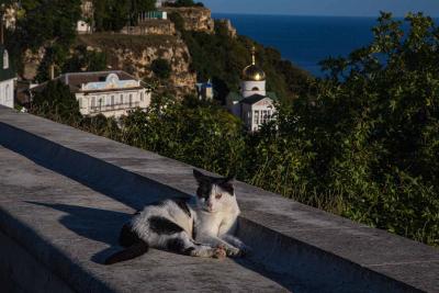 Прикрепленное изображение: ly6xvF_JD58.jpg